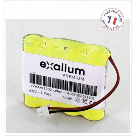 Pack pile lithium rechargeable de remplacement pour MG6250 Paradox réf-MGPILE6250