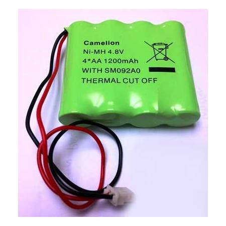 Pack pile lithium rechargeable de remplacement pour MG6250 Paradox réf-MGPILE6250
